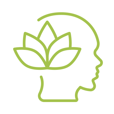 Hỗ trợ sức khỏe não bộ