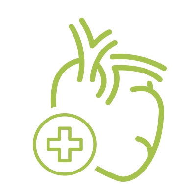 Hỗ trợ sức khỏe tim mạch